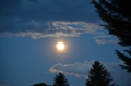 Baumkronen, Wolkenstimmung und inmitten drin der Mond